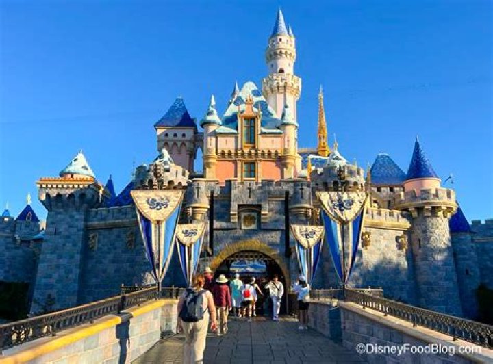 A touch of disney - How To Discuss