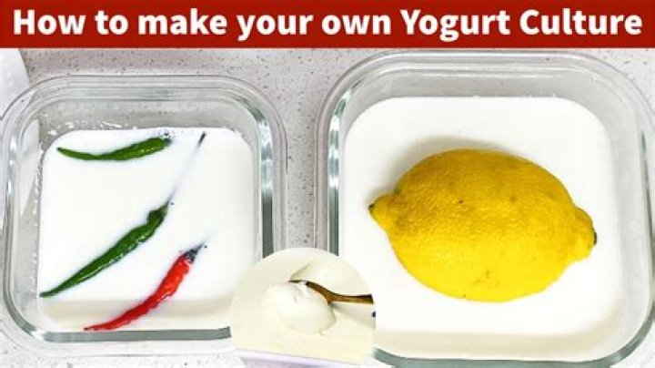 Active Culture Yogurt - How To Discuss