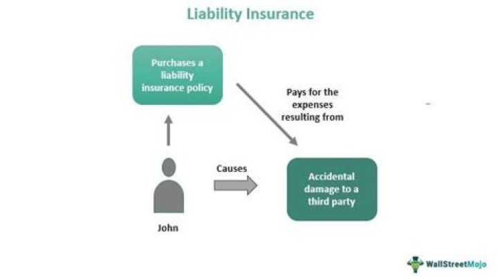 Amta Liability Insurance - How To Discuss