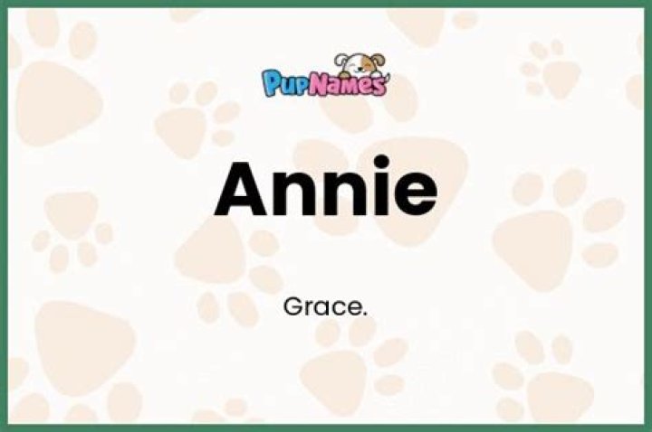 Annie Dog Name - How To Discuss