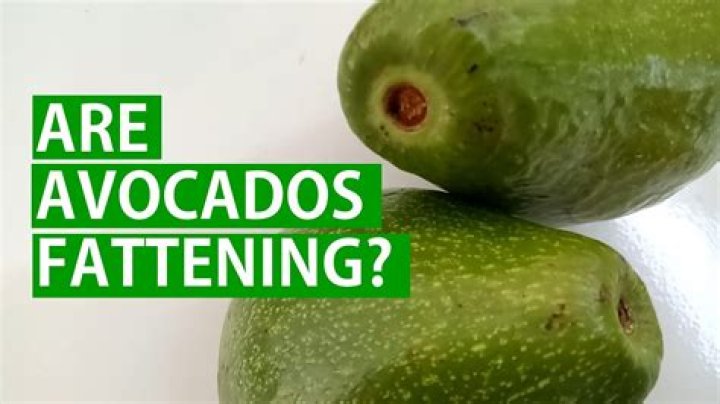 Are Avocados Fattening - How To Discuss