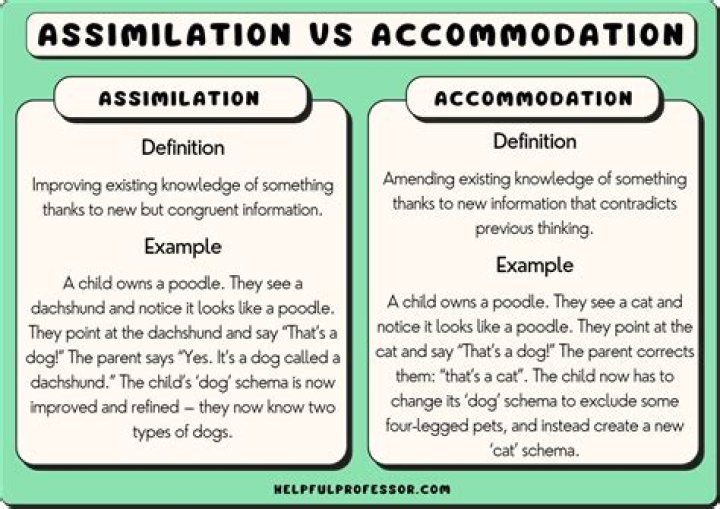 Assimilate - How To Discuss