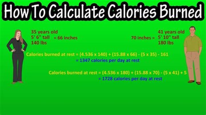 Average calories burned per day