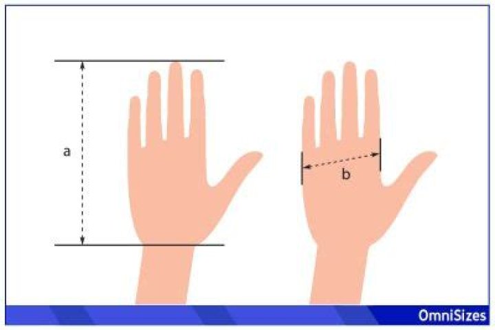 Average Hand Size - How To Discuss