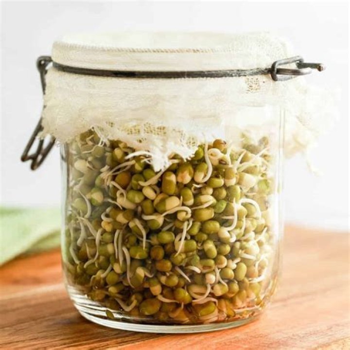 Bean Sprouts Publix - How To Discuss