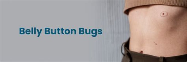 Belly Button Bugs - How To Discuss