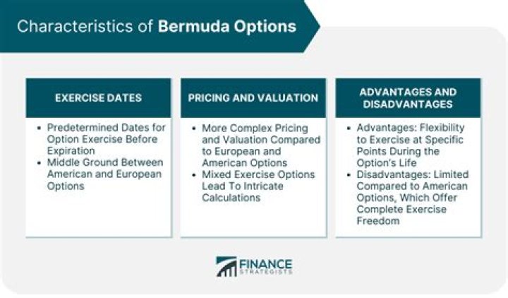 Bermuda Option - How To Discuss