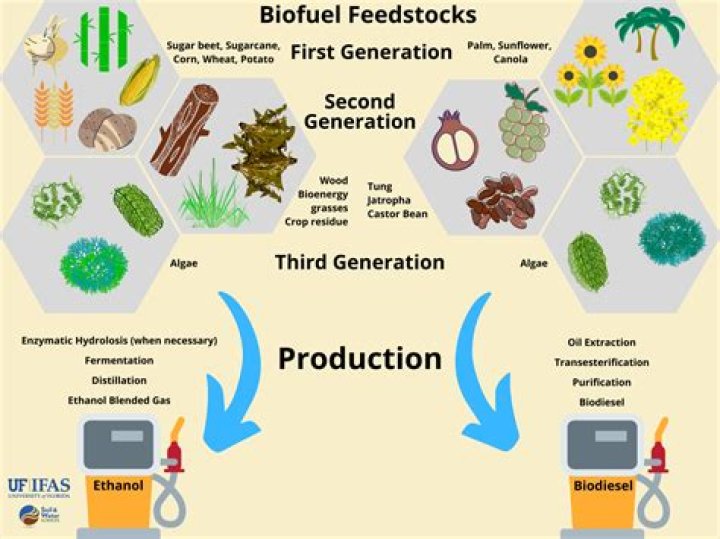 Biofuel - How To Discuss