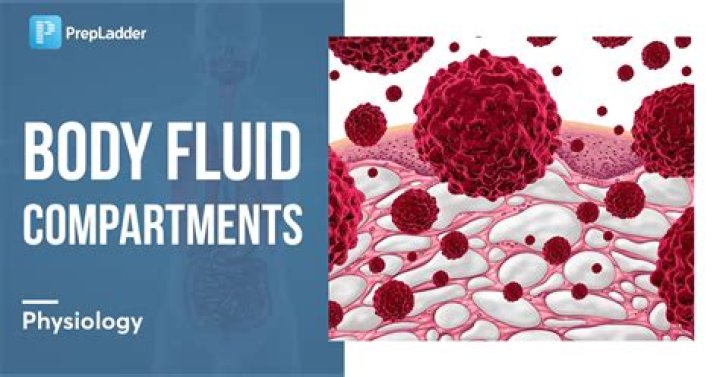 Body fluids - How To Discuss