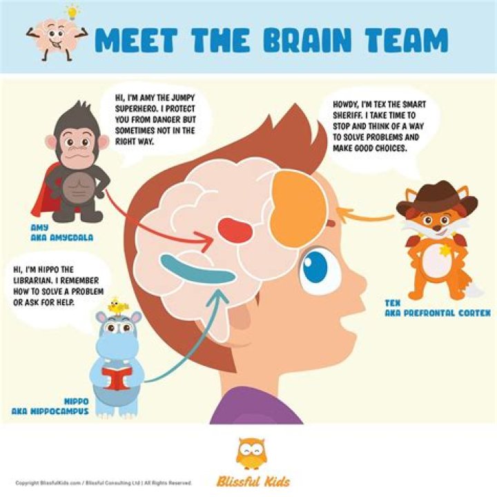 Brain for kids - How To Discuss