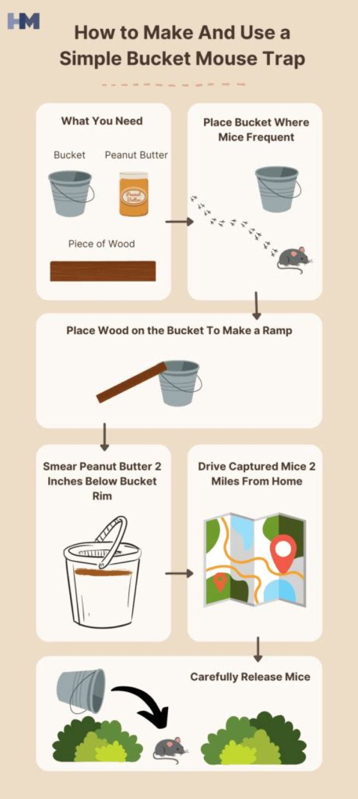Bucket mouse trap - How To Discuss
