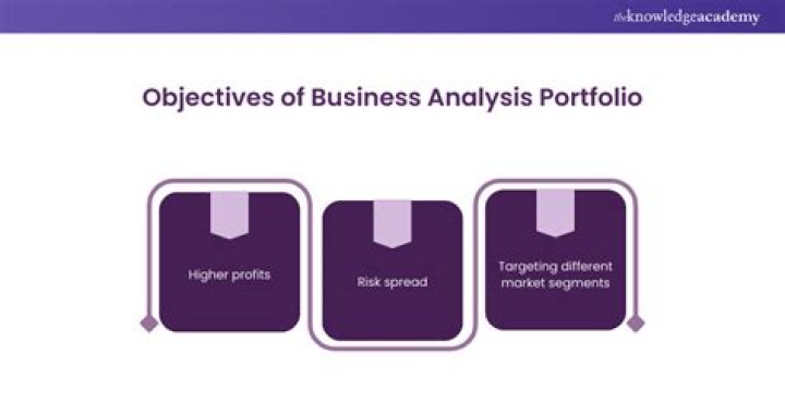 Business portfolio analysis - How To Discuss