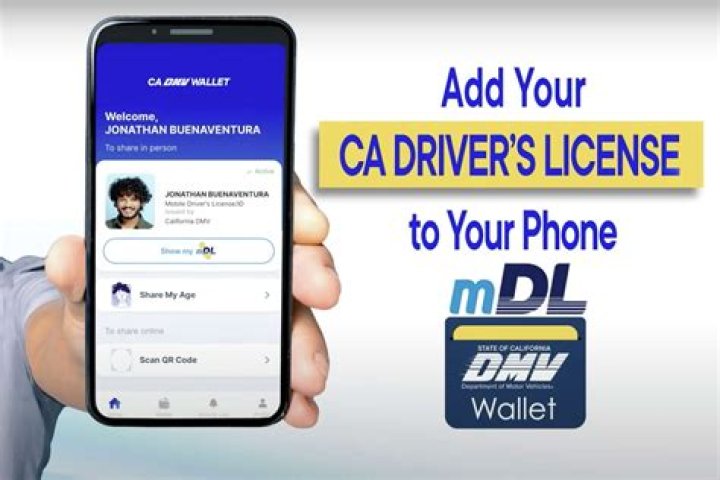 California Dmv Phone Number - How To Discuss