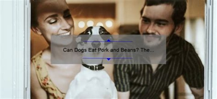 Can Dogs Eat Pork And Beans