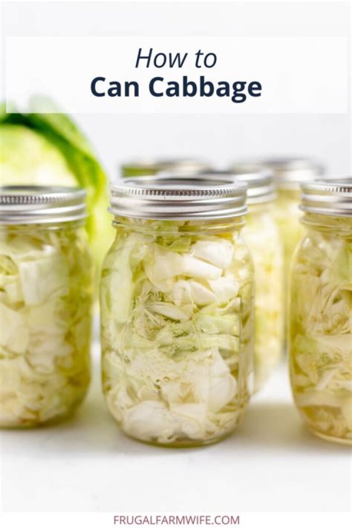 Canned cabbage - How To Discuss