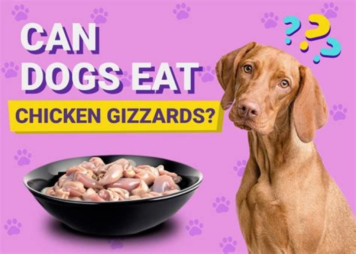 Chicken Gizzards For Dogs - How To Discuss