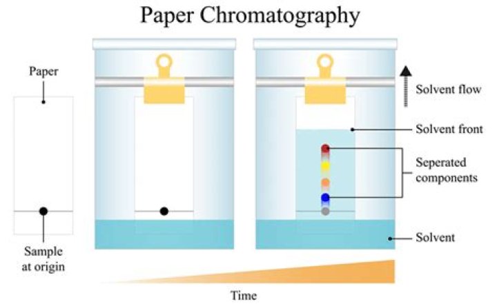 Chromatography - How To Discuss