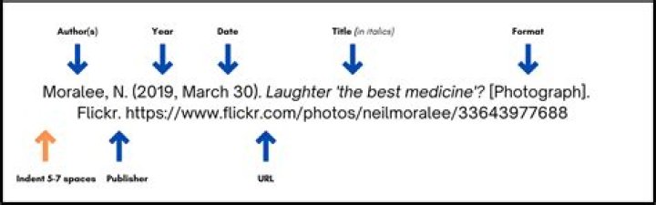 Citing pictures apa - How To Discuss