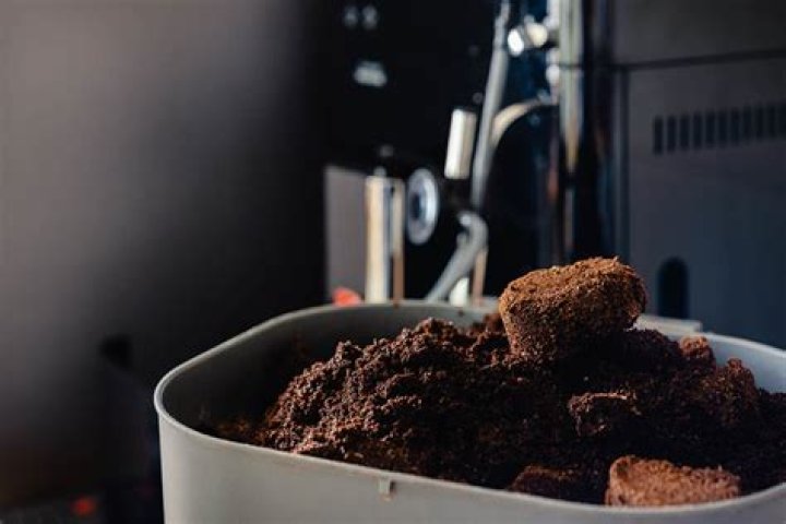 Coffee grounds garbage disposal - How To Discuss