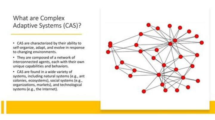 Complex adaptive system (CAS) - How To Discuss