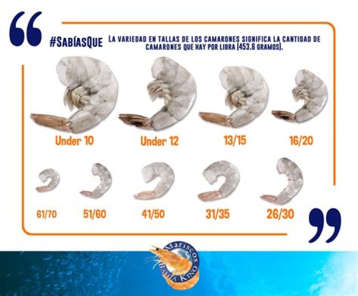 Cuantos Camarones Grandes Tiene Un Kilo