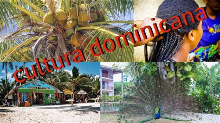 Cultura De La Familia Dominicana
