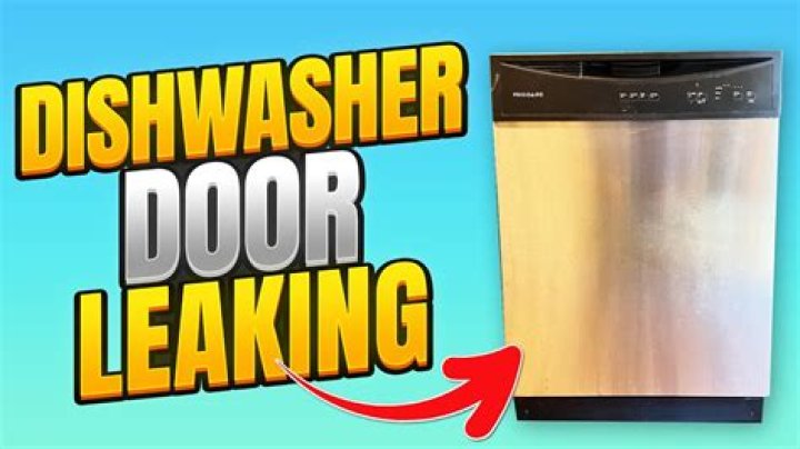 Dishwasher leaking from door - How To Discuss