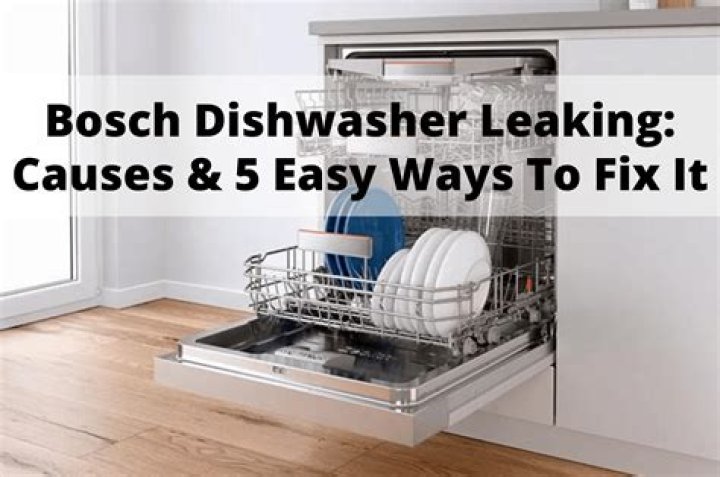 Dishwasher Leaks When Draining - How To Discuss