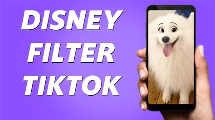 Disney filter tiktok - How To Discuss