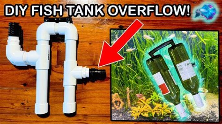 Diy aquarium - How To Discuss