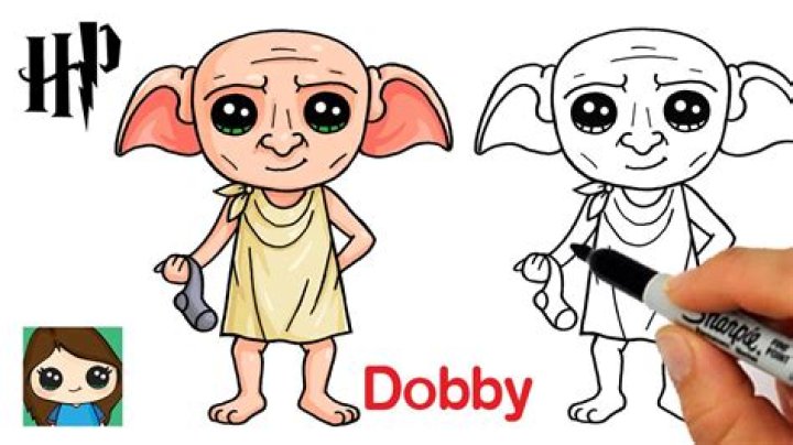 Dobby Cat - How To Discuss