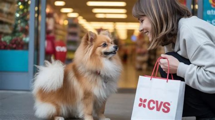 Does Cvs Allow Dogs - How To Discuss