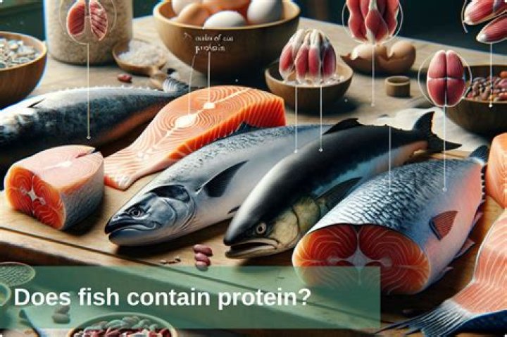 Does fish have protein - How To Discuss