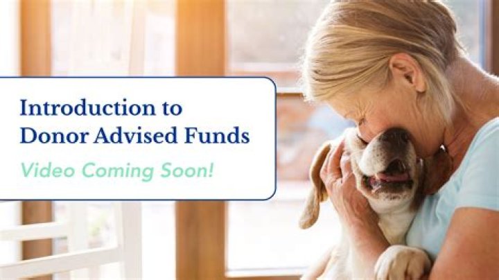 Donor advised funds - How To Discuss