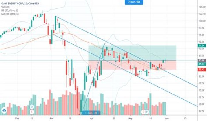 Duk stock - How To Discuss