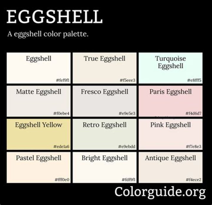 Eggshell paint - How To Discuss
