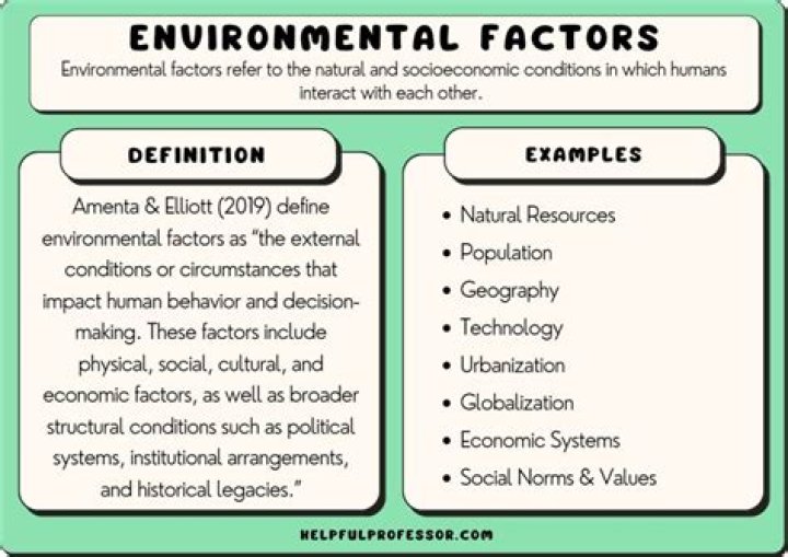 Environmental fate - How To Discuss