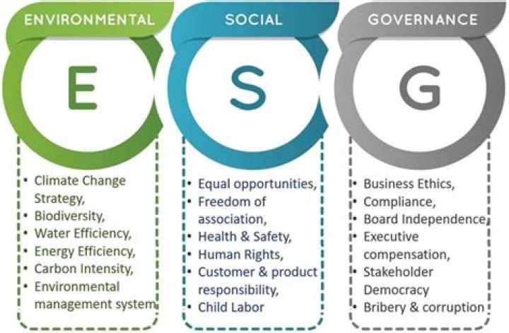 Environmental, Social, And Governance (ESG) Criteria