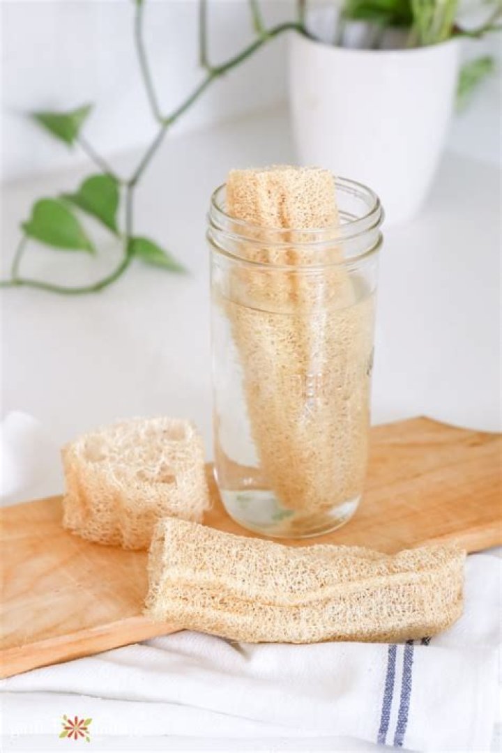 Exfoliating loofah - How To Discuss