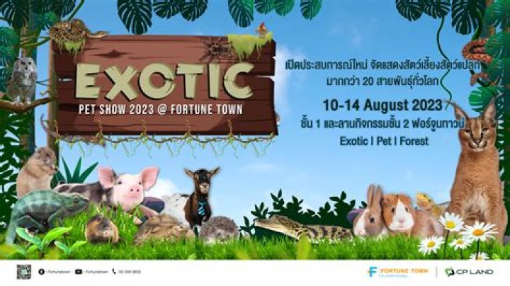 Exotic Pets Ohio - How To Discuss
