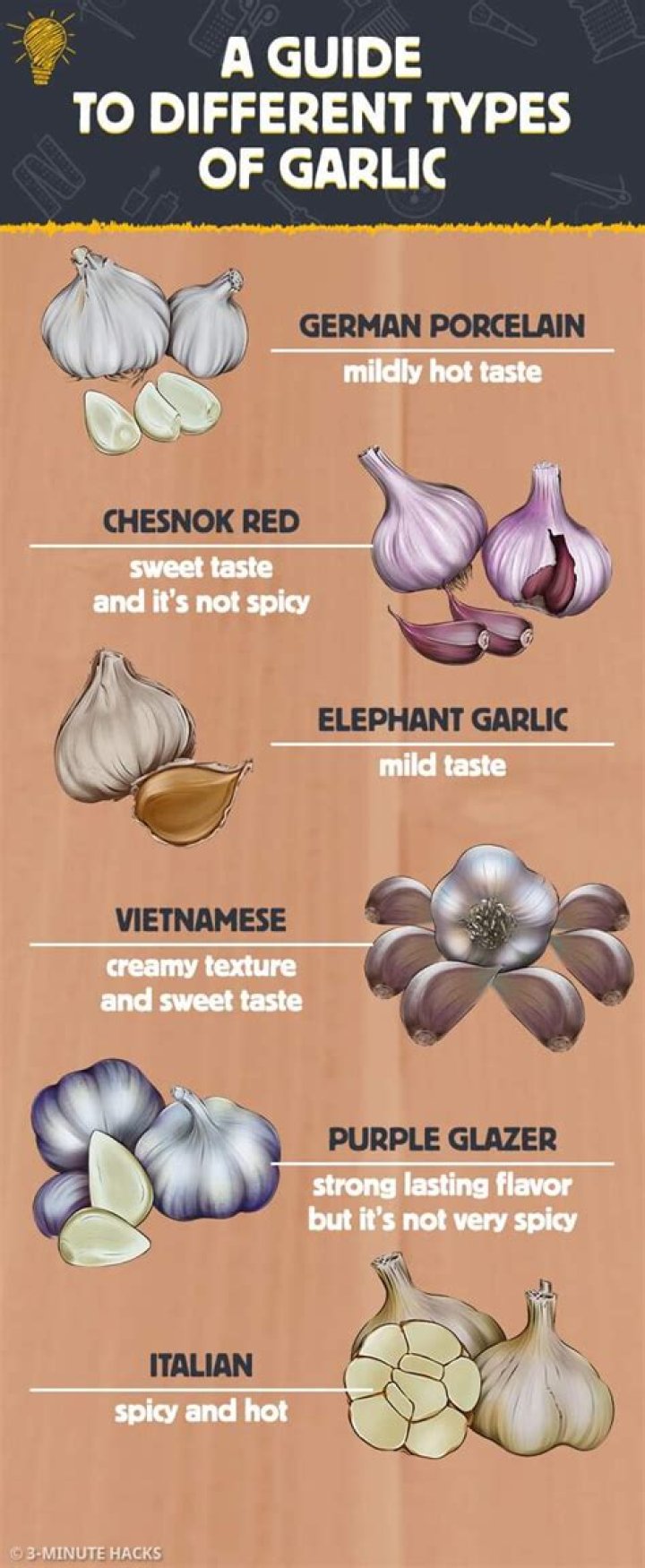 Fresh garlic - How To Discuss