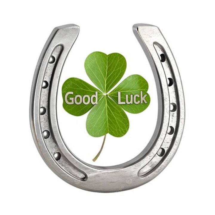 Good luck horseshoe - How To Discuss