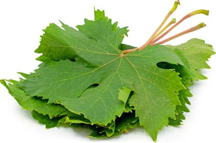 Grape leaves - How To Discuss