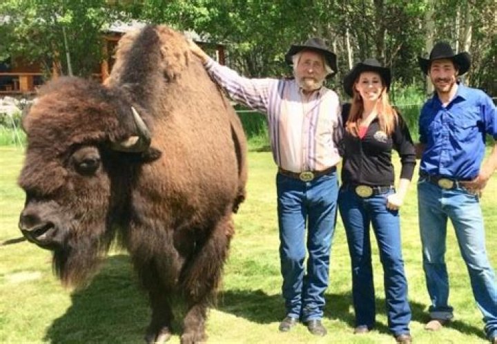Guy on a buffalo - How To Discuss
