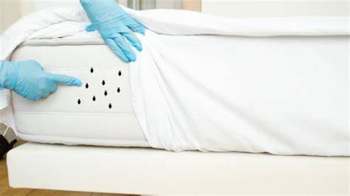 Haugesund mattress - How To Discuss