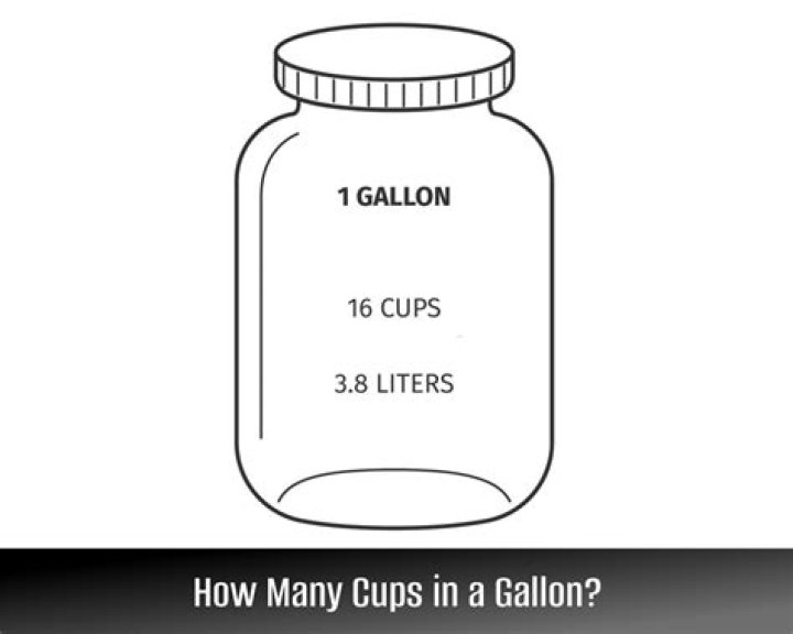 HOW MANY CUPS IN A HALF GALLON?
