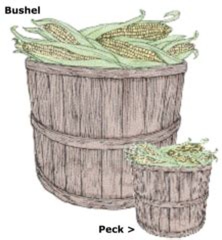 How Many Pecks In A Bushel