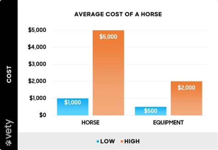 How much does a horse cost?