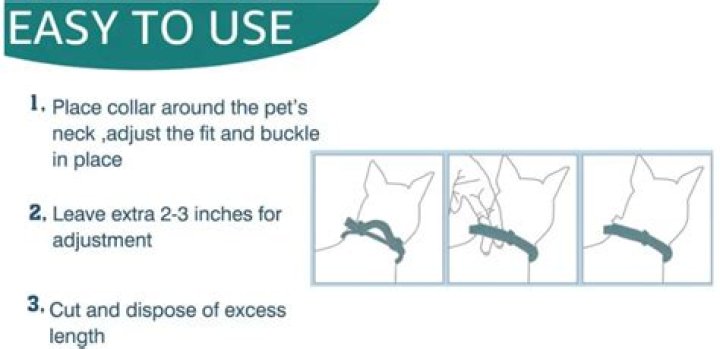 How Tight Should A Flea Collar Be