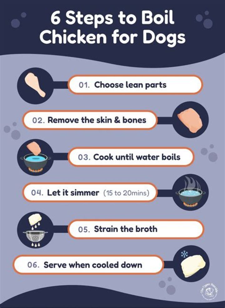 How to boil chicken for dogs